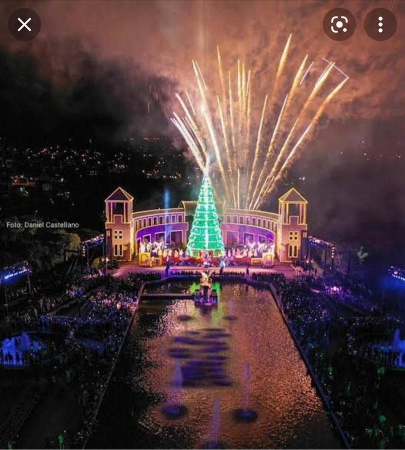 Vicz Palace Hotel クリチバ エクステリア 写真